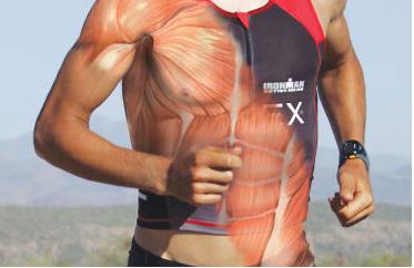 muscles in runner
